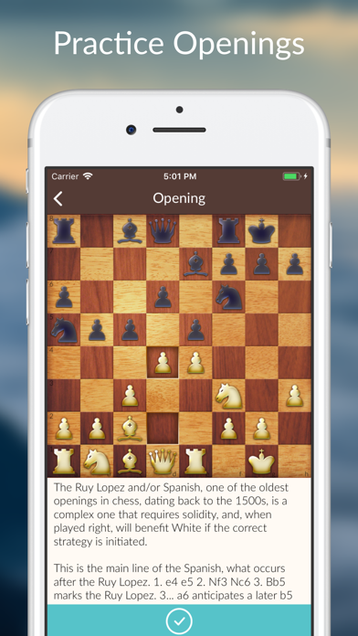 Chess Tactics and Lessons Screenshot