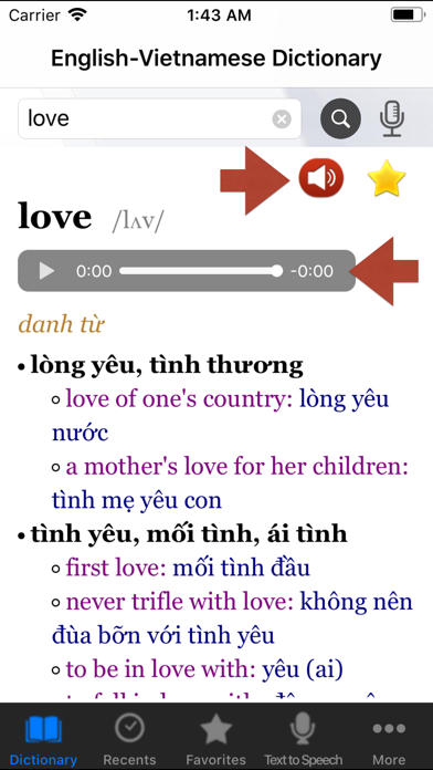English-Vietnamese Dictionary. Screenshot