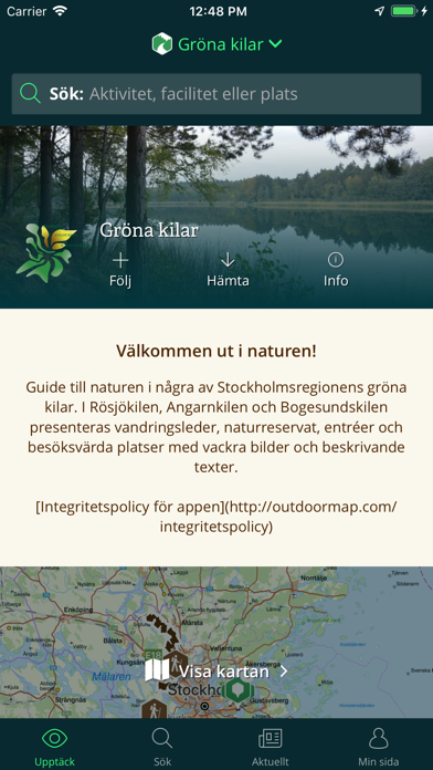 Gröna kilar Screenshot