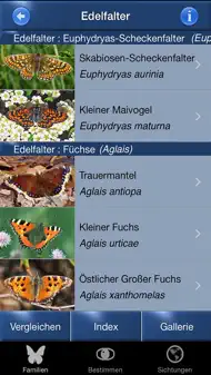 Schmetterling Id - Tagfalter iphone bilder 2