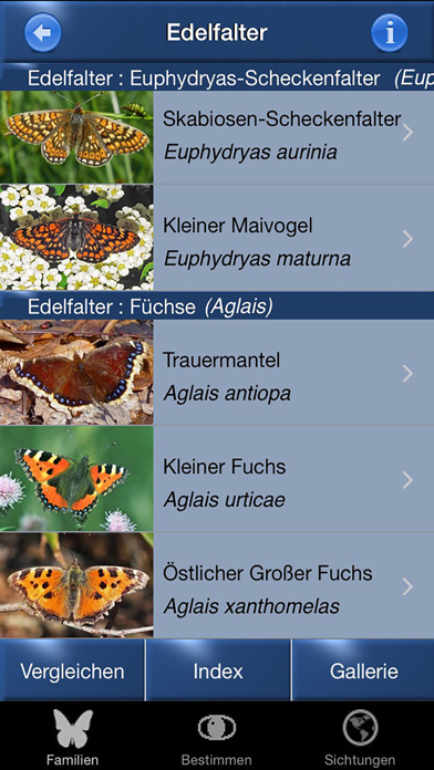 Screenshot #3 pour Schmetterling Id - Tagfalter