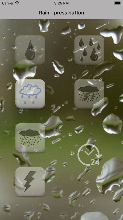 RAIN (raindrops-rain in forest