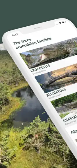 Game screenshot Crocodile, Alligator, Gharials mod apk