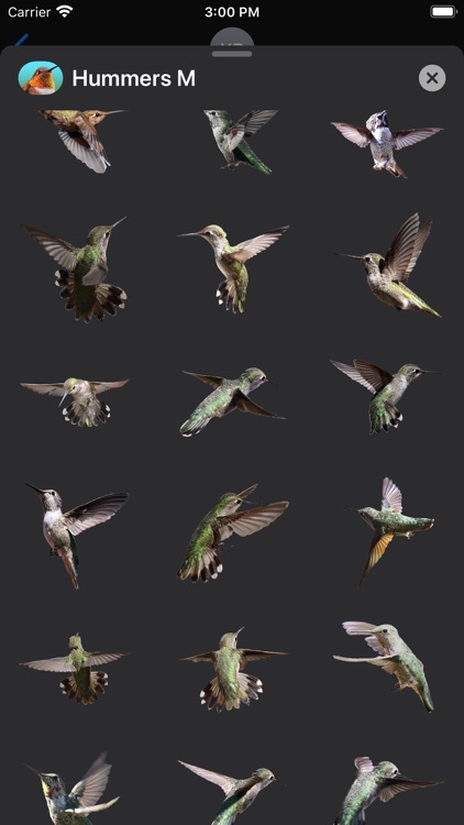 Hummingbirds - Medium (Retina) screenshot-3