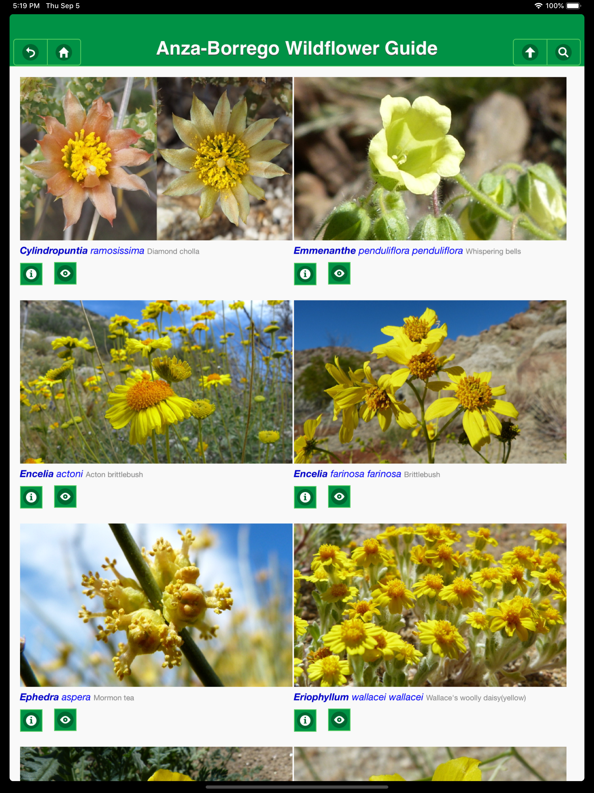 Anza-Borrego Wildflowers Lite screenshot 10