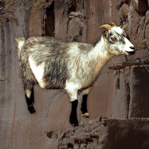 Baa - Goat Sounds icon