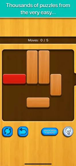 Game screenshot Woody Unblock Slide Puzzle apk