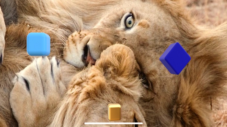 Pixel AR Card screenshot-4