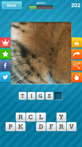 Close Up Pics: Zoom Out 3D Fun screenshot