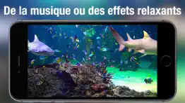 aquarium dynamique hd iPhone Captures Décran 3