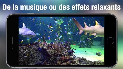 Screenshot #3 pour Aquarium dynamique HD