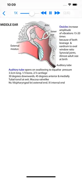 Game screenshot Tricky Areas of Anatomy hack