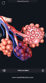 AR Human Anatomy screenshot