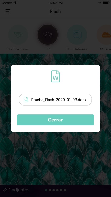 Flash App screenshot-5