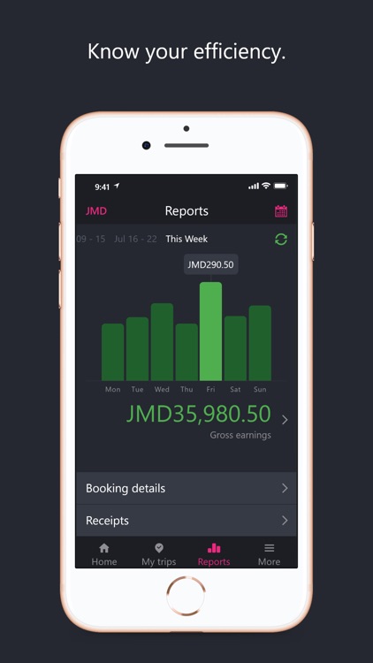 TeamDryva screenshot-4