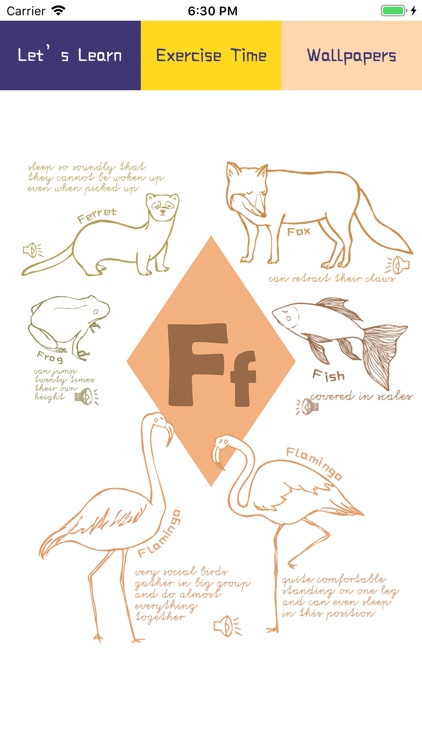 The Animal Alphabet