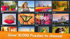Jigsaw World screenshot 2