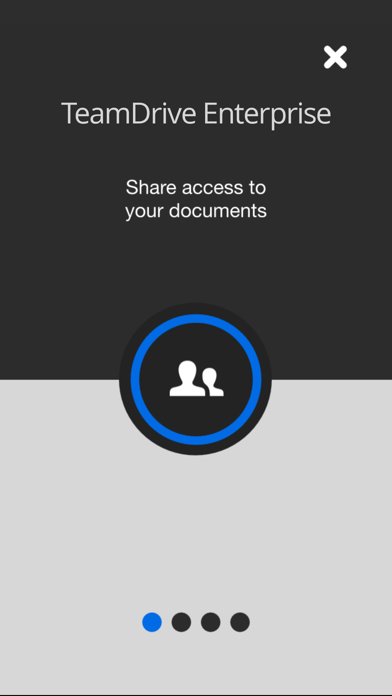 Screenshot #1 pour TeamDrive 5 Enterprise