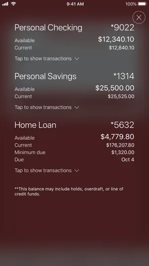 BankSouth screenshot 1