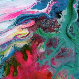 Visual Medicine Soul Compass