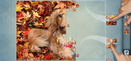 Magnetic Jigsaw