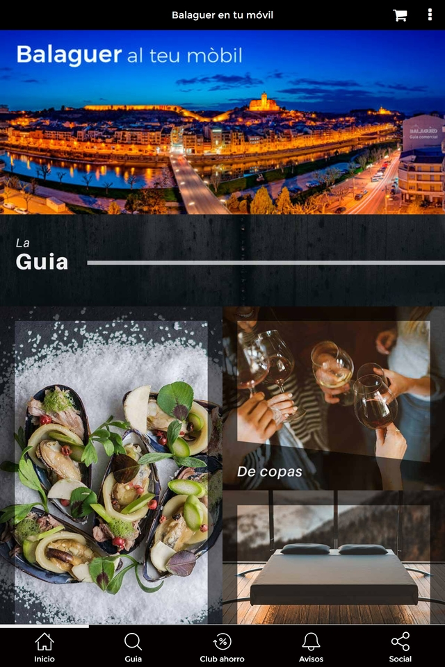 Guia Comercial de Balaguer