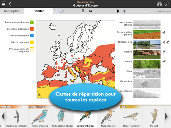 Screenshot #5 pour Oiseaux d’Europe