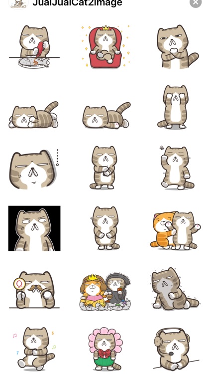 Juai Juai Cat 2 (Image only)