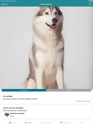 Captura 3 Dog Scanner iphone
