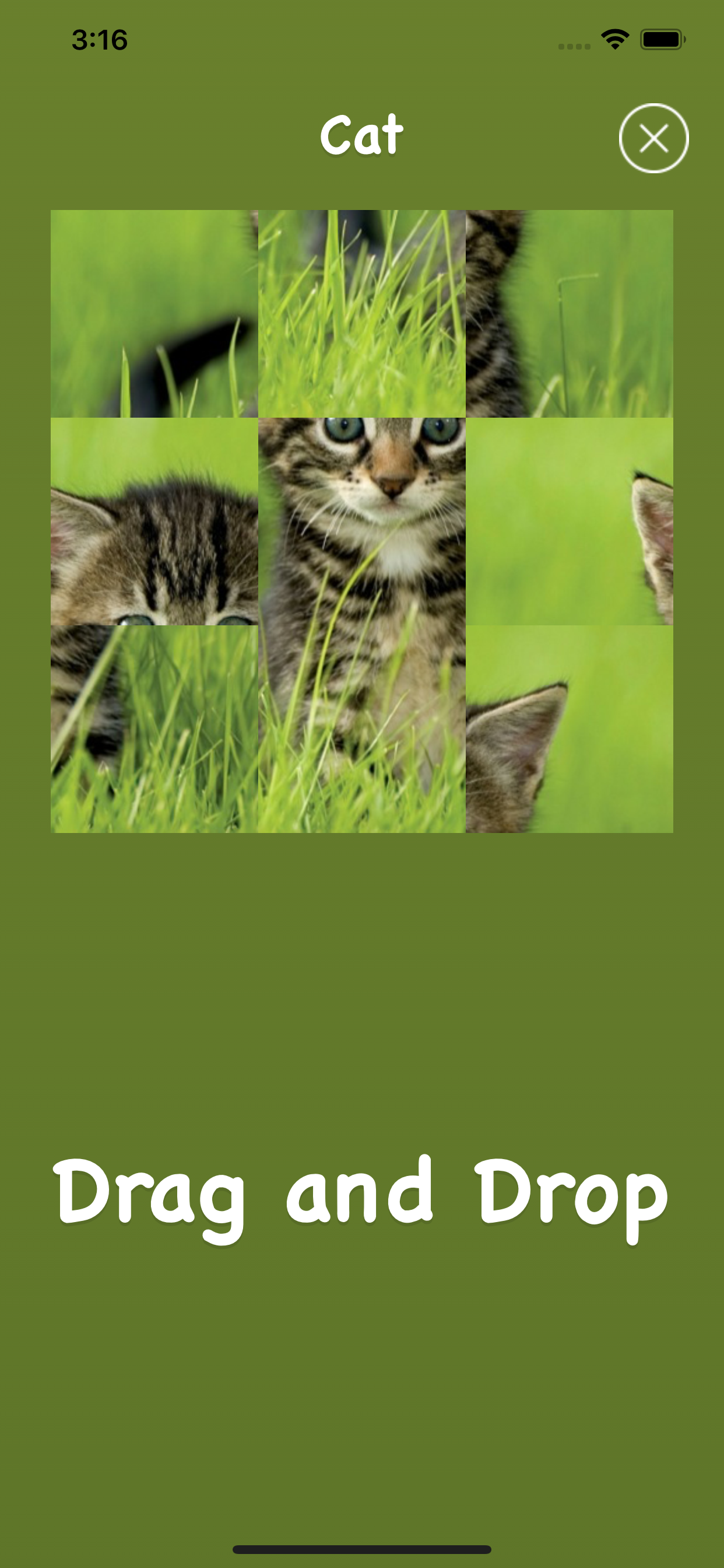 Animal Sounds, Animal Language