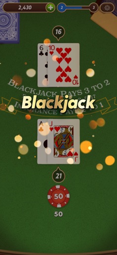 Blackjack screenshot 6