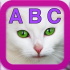ABC Kittens - Learn ABC's with help from Kitties!