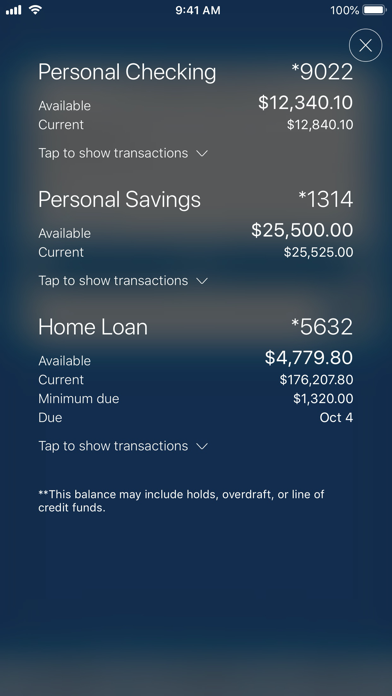 Valley Isle Community FCU Screenshot