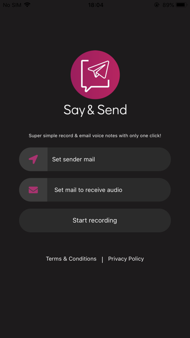 Say & Send Screenshot