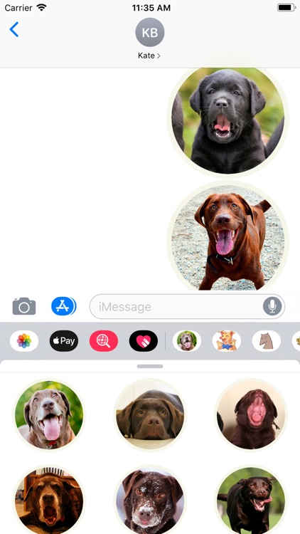 Lovely Labrador Sticker Pack