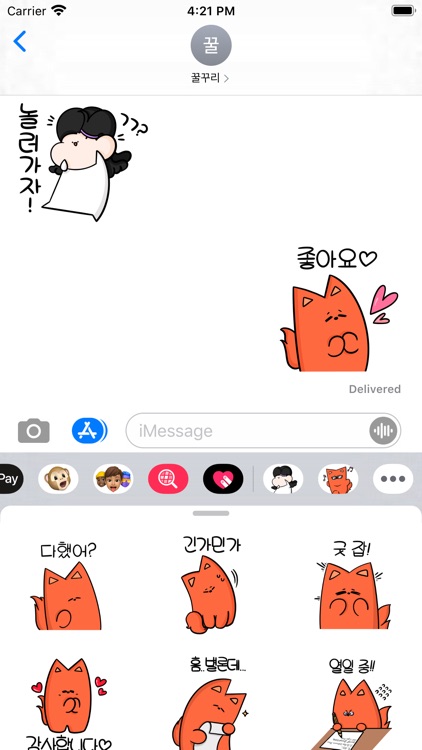 꼼꼬의 하루
