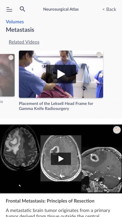 Neurosurgical Atlas Screenshot