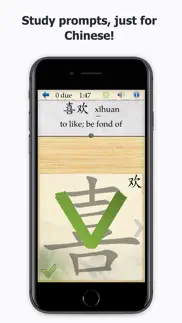 skritter chinese iphone screenshot 3