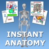 Instant Anatomy Flash Cards