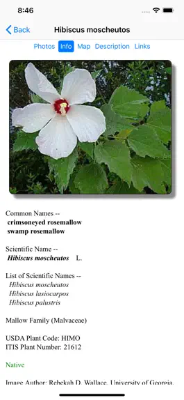 Game screenshot Louisiana Wildflowers hack