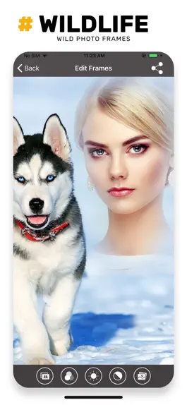 Game screenshot Wildlife Photo Frame Unlimited hack