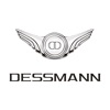 DESSMANN security products services 