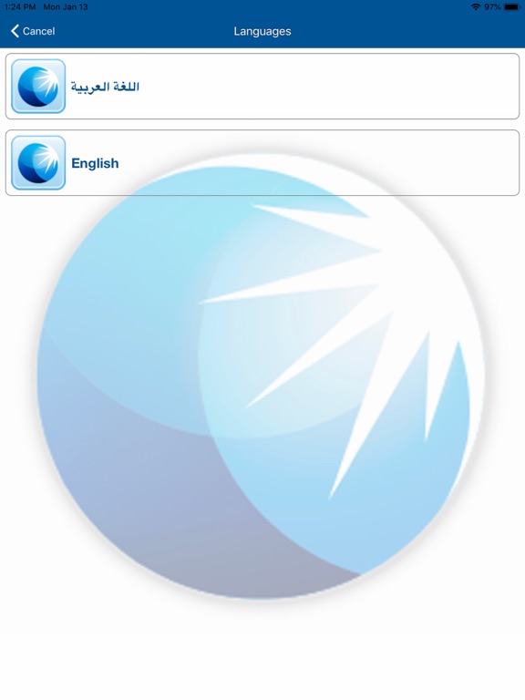 ADIB Egypt Token iPad screenshot