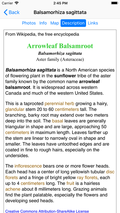 Colorado Wildflower Search Screenshot
