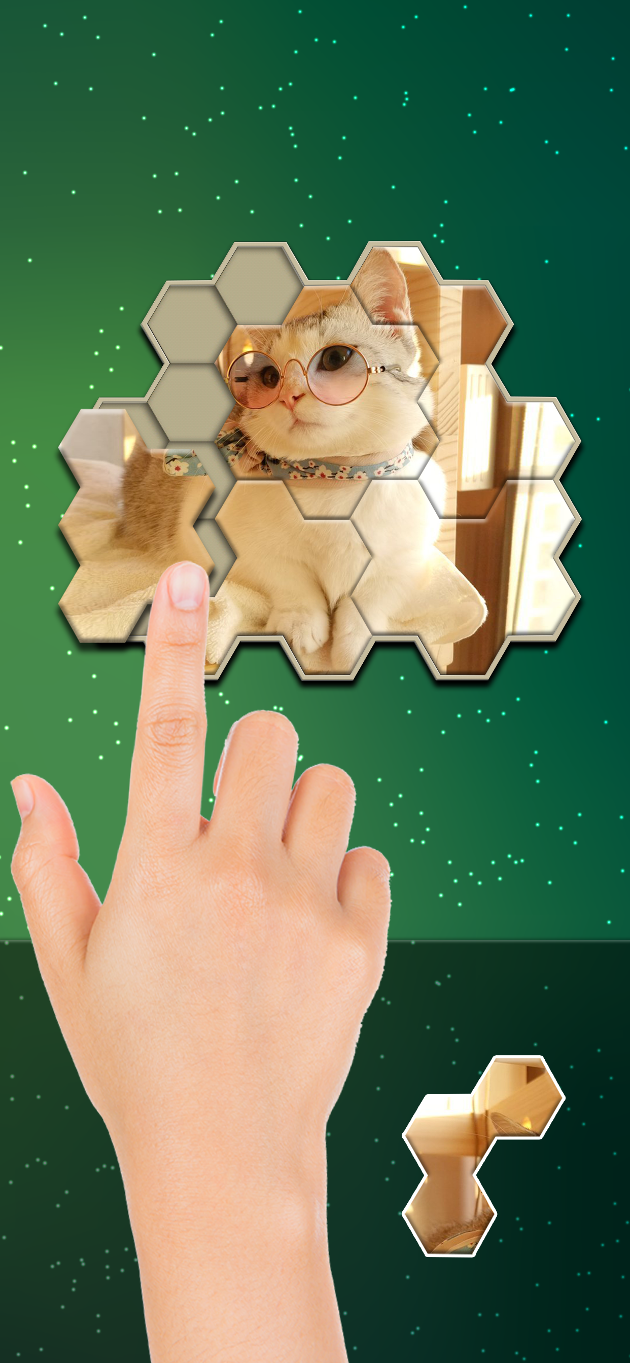 Jigsaw Hexa Block