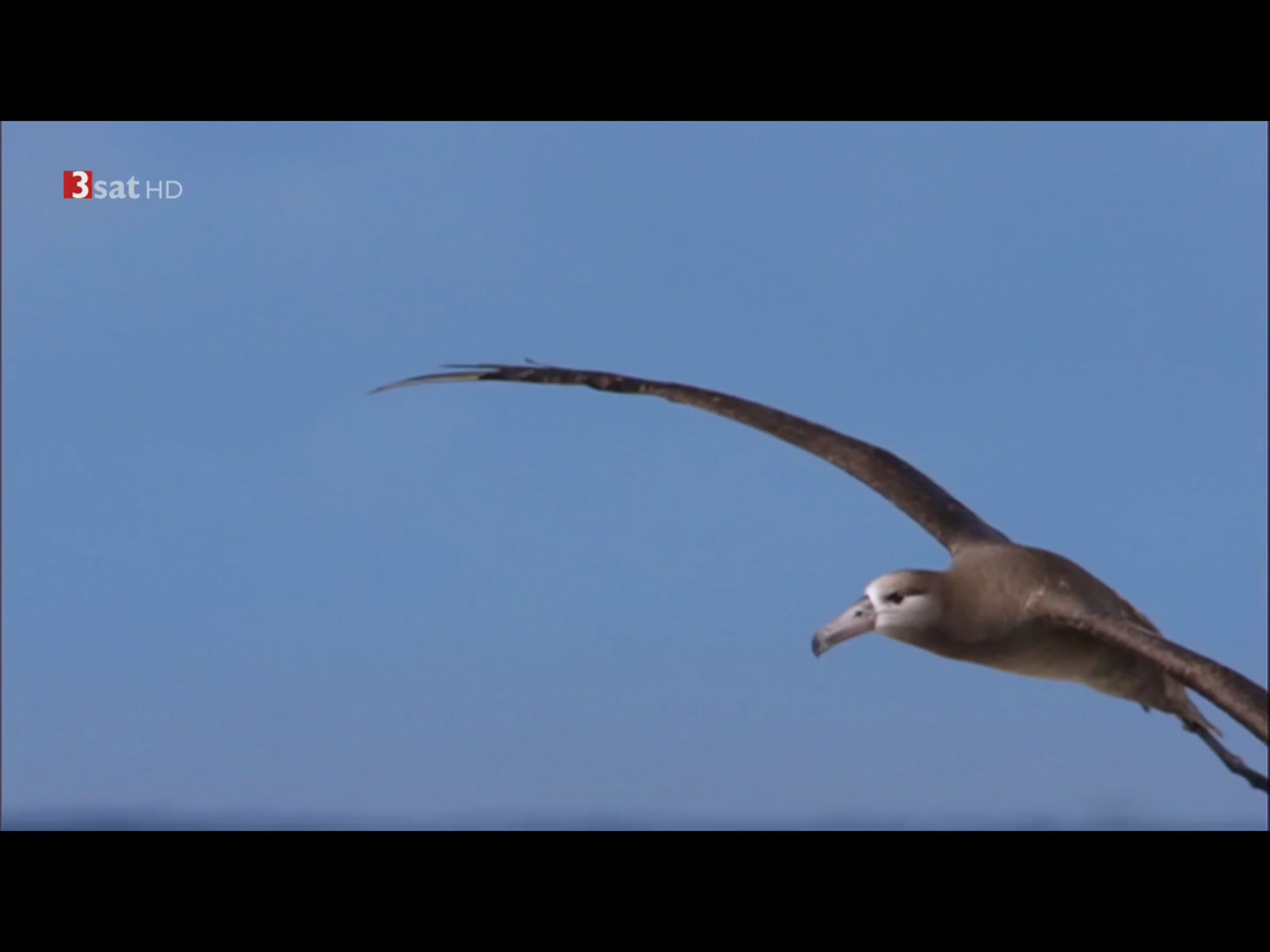 Quantum TV screenshot 8