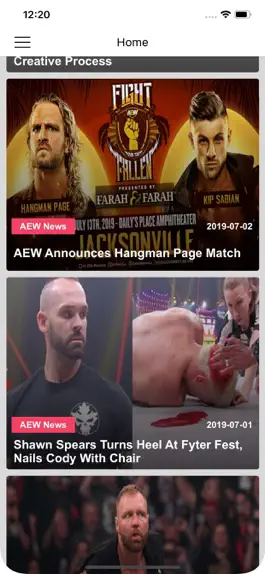 Game screenshot Pro Wrestling News Hub mod apk