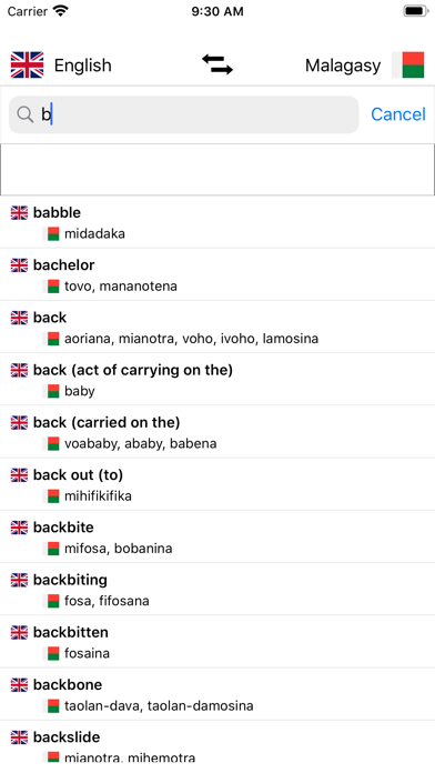 Malagasy-English Dictionary Screenshot