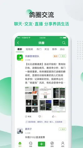 Game screenshot 中国信鸽信息网chinaxinge.com hack