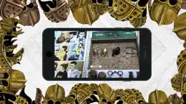 Game screenshot Golden Helmet mod apk
